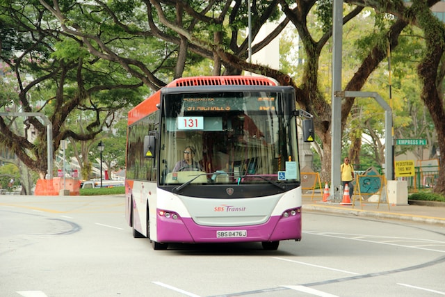 Secure your buses with LZ insurance